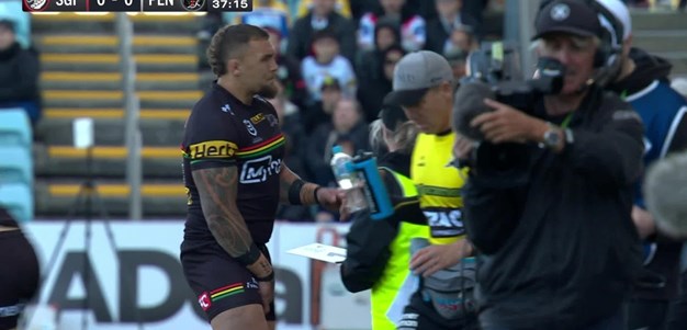 Panthers enforcer leaves the field