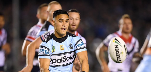 Sharks: 2017 by the numbers