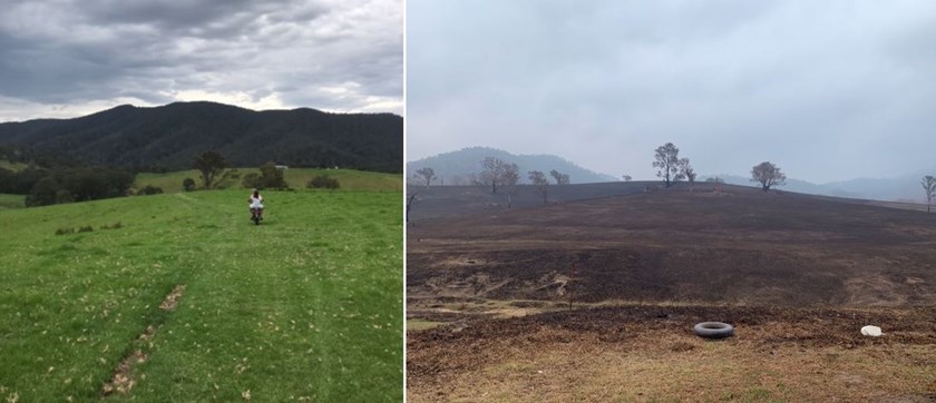 Before and after shots from Millie Boyle's family farm.