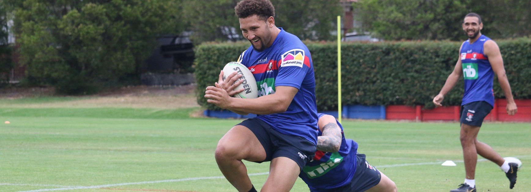 Knights recruit Gehamat Shibasaki.