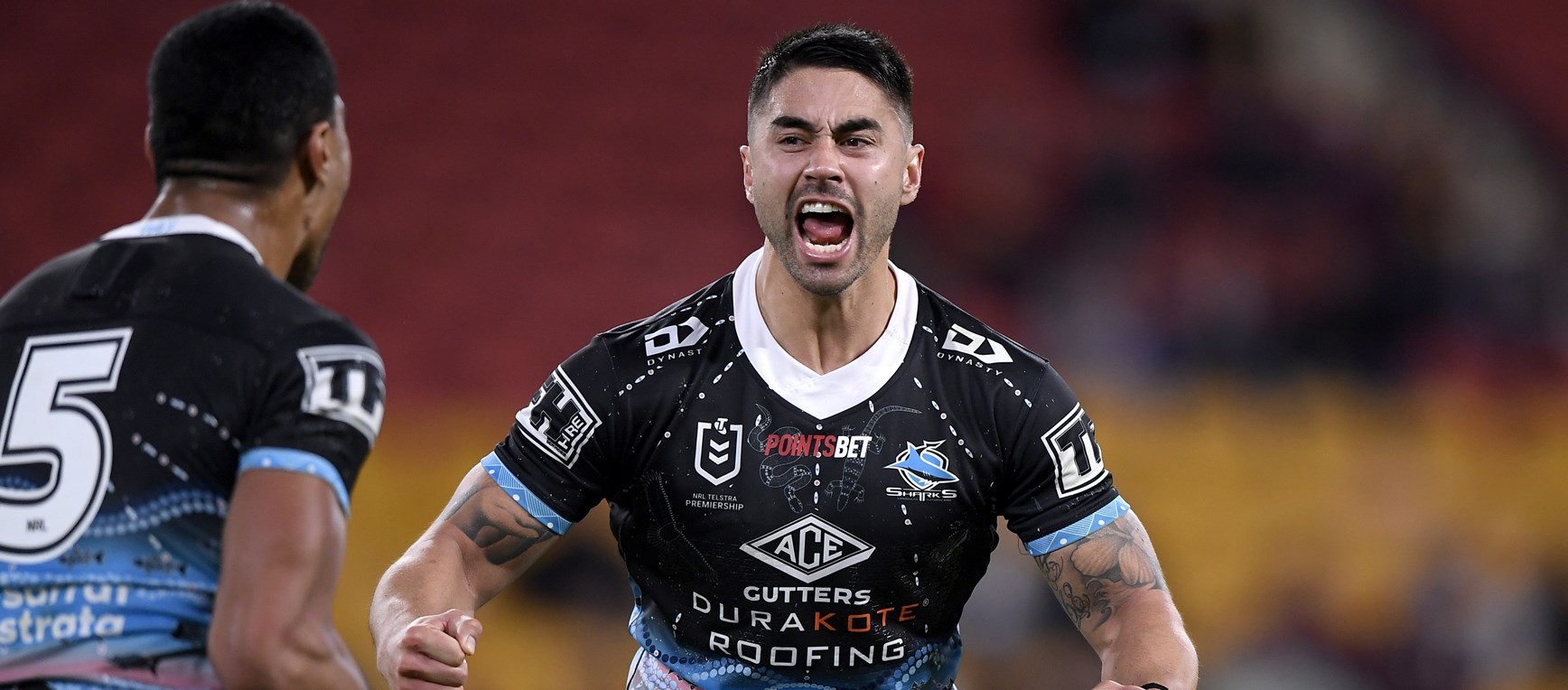 Best Sharks photos of 2020