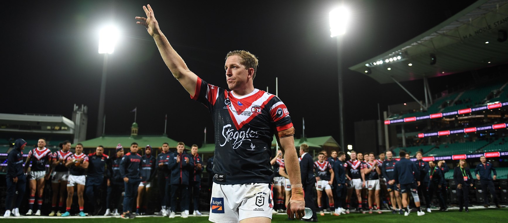 Best Roosters photos of 2020