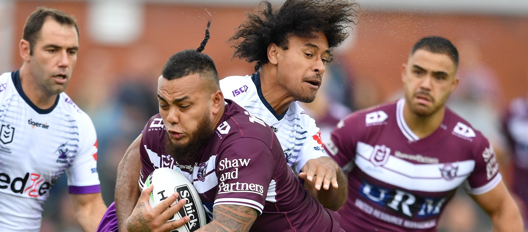 Best Sea Eagles photos of 2020